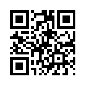 29091111.com QR code