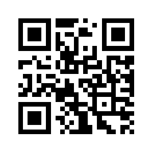 29455e.com QR code