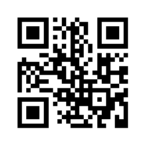 295111a.com QR code