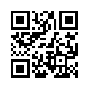 295351.com QR code