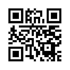 299m.net QR code