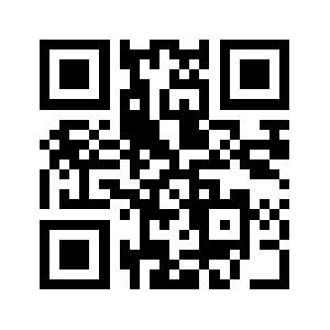 29visual.com QR code