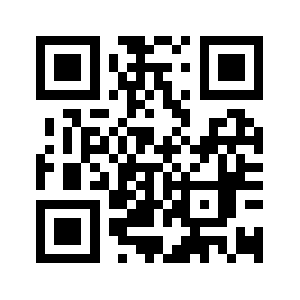 2dsins.com QR code