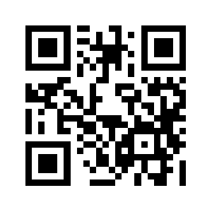 2puning.com QR code