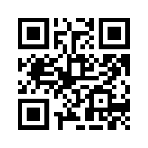 31315551.com QR code