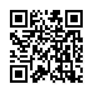 3134rapidlightning.com QR code