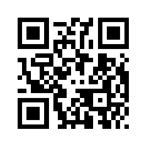 313gg.com QR code