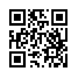 313news.net QR code