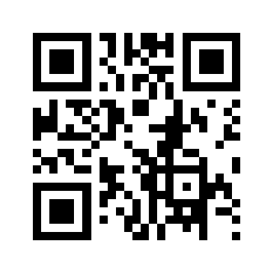313nm.com QR code