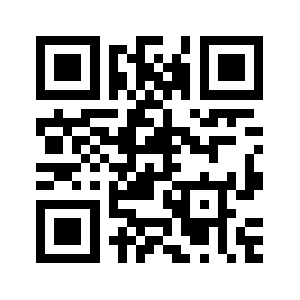313sky.com QR code