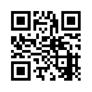 335z335.com QR code