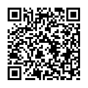 360.cn.getcacheddhcpresultsforcurrentconfig QR code