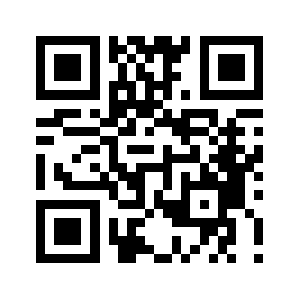 366333.info QR code