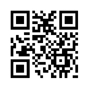 389333.org QR code