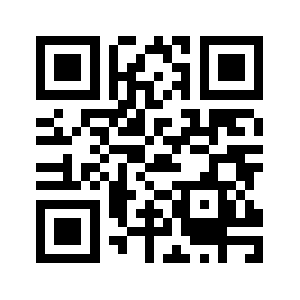391519.com QR code