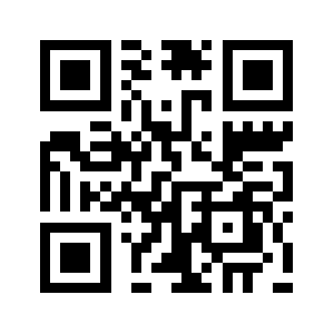 398333.net QR code