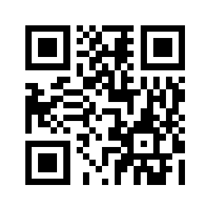 39pkw.com QR code