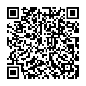 3ae89c4f-2ff5-465c-bdac-f9e4c304f9f4.distil.ninja QR code