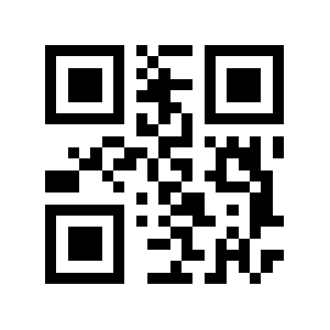 40041 QR code