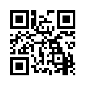 411to911.us QR code