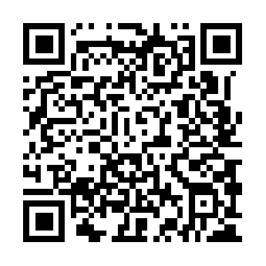 42cc631fdd3d58b3d85c69bb83be783b.info QR code