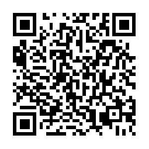 43384ecd07f70be9a51df4d6bb19b6b1.top QR code