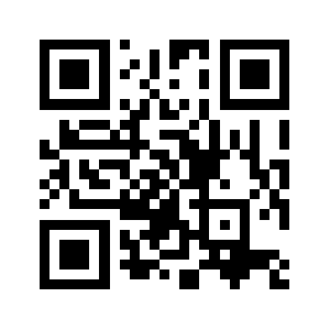 4538.info QR code