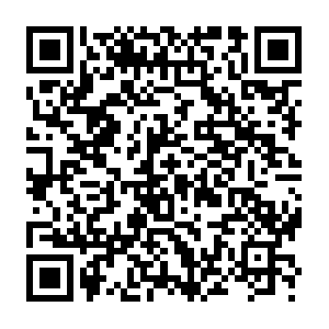 493166b3-eaf7-40ab-ab40-950988264bb5.distil.ninja QR code