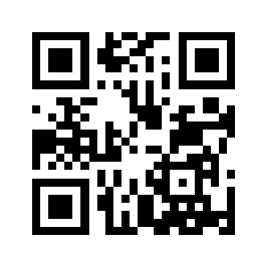 495ru.ru QR code