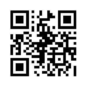 4fnfst.biz QR code