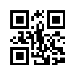 4gy.top QR code