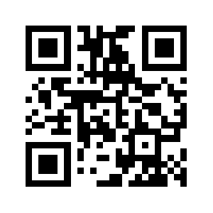 511199.biz QR code