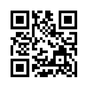 519gm.com QR code