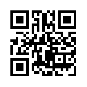 51lights.com QR code