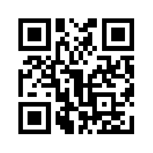 51pevc.com QR code