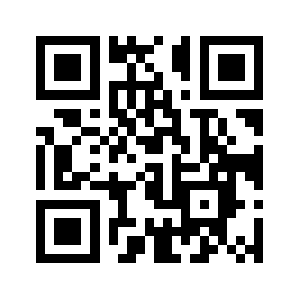 53313335.com QR code