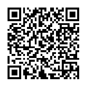 535gstrate737z-account-information.com QR code