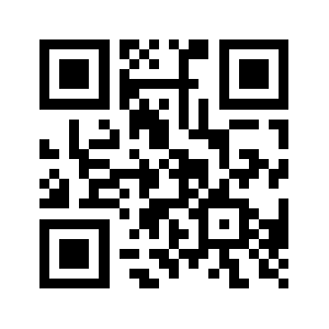 538013026.invalid QR code