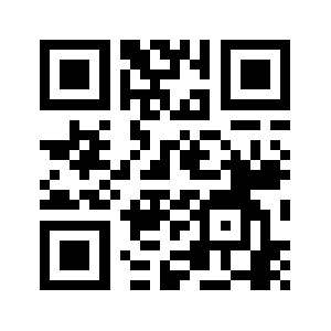 538949a.com QR code