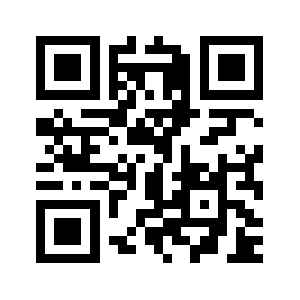 5393138.com QR code