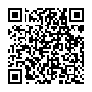 53dee91e0e9929a2f2a39e89b06caf9c.com QR code