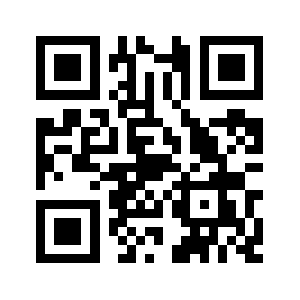 553336.org QR code