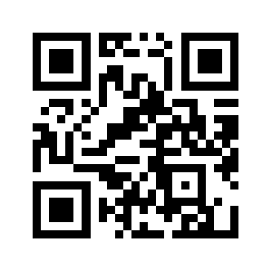 55grup.com QR code