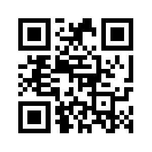 599393.ru QR code