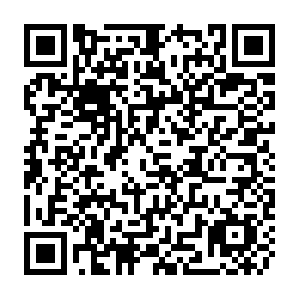 5fa45b8ec0e11c0fdb71fe78-sesf-members-micro.netlify.app QR code