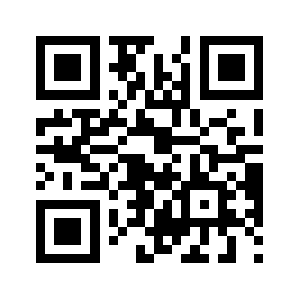 61333333.com QR code