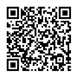 66358017.global.siteimproveanalytics.io QR code