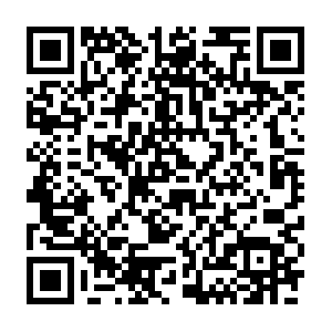 66714808-c8a1-4d2c-8644-cd7caacb377c.distil.ninja QR code