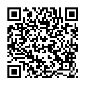 67741177.global.siteimproveanalytics.io QR code