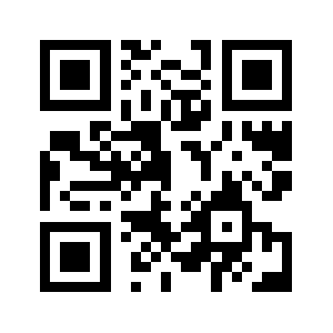 6938538.com QR code